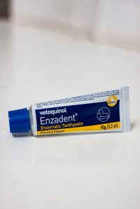 Vetoquinol Enzadent Enzymatic Toothpaste