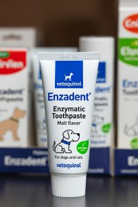 Vetoquinol Enzadent Enzymatic Toothpaste